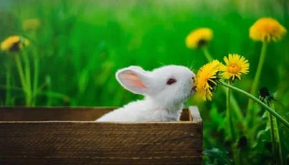 盛世娱乐官网-再次逆转 中国男篮取得世预赛两连胜